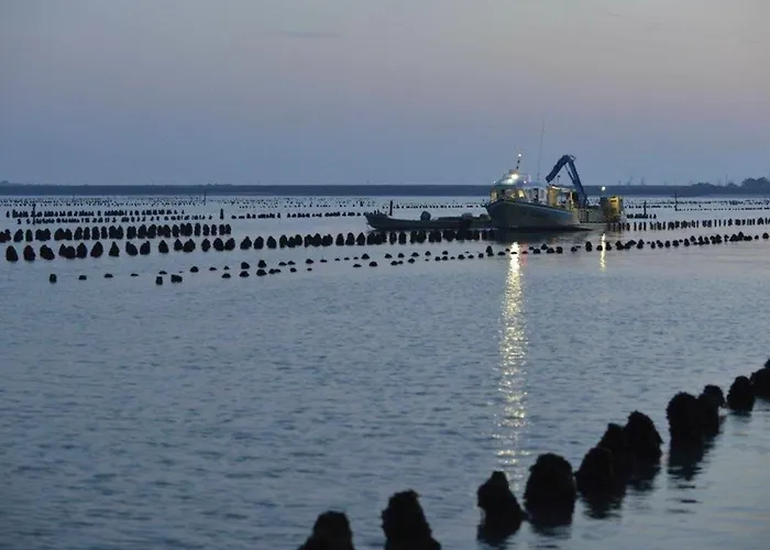 Maisonnette Accueillante Avec Piscine Et Parking A - Fr-1-194-334 * La Faute-sur-Mer